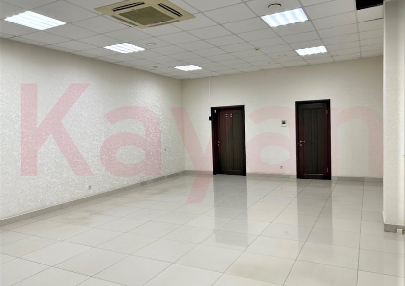 Аренда коммерции, 61 кв.м (Офисное) фото 3 Аренда коммерции, 61 кв.м (Офисное) фото 3