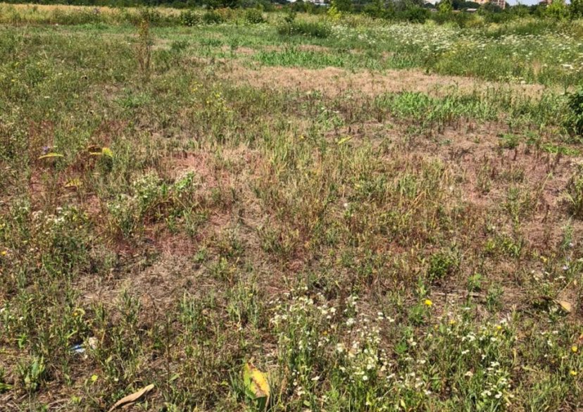 Продажа земельного участка, 25 сот. фото 5 Продажа земельного участка, 25 сот. фото 5