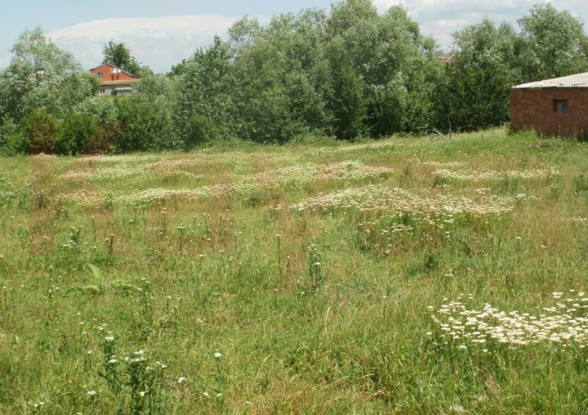 Продажа земельного участка, 100 сот. фото 1